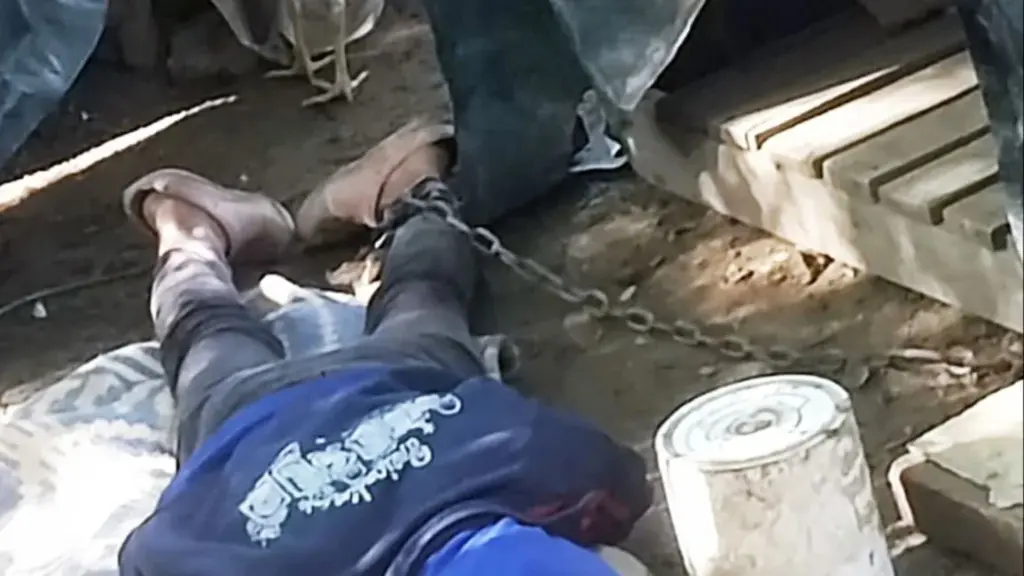 Salta: una mujer con síndrome de Down vivía encadenada en el fondo y dormía en la perrera